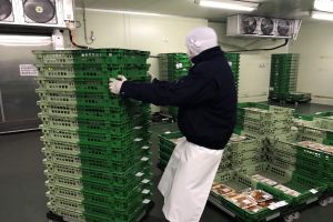 食肉加工場内での作業風景1