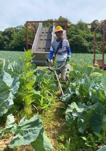 草刈り作業の画像