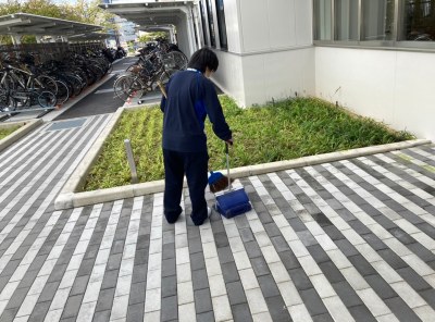 屋外の清掃作業の画像