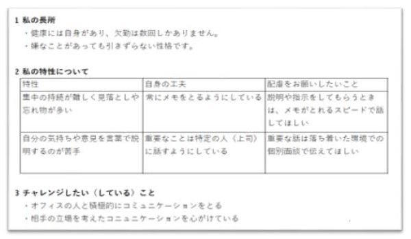 「私の説明書」の作成例の画像