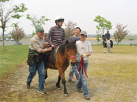 乗馬療法のスタッフとして活躍。4頭いる馬の飼育は365日体制。