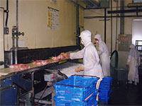 製品冷却作業：袋詰め製品を冷凍室に送るためのネットコンベアに乗せる作業