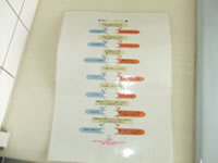 《ピカピカ表》(洗面台を洗うための手順書)本人が具体的にイメージできるよう手順書の名前や色分けを工夫している。