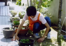宅老所「絆」庭の掃除及び除草作業1