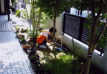 宅老所「絆」庭の掃除及び除草作業2