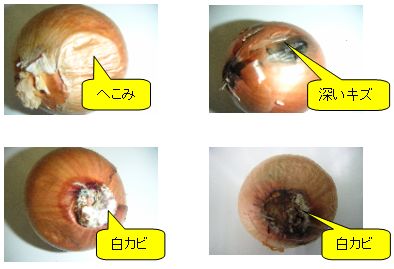 写真でポイントを表示