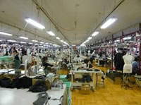 縫製作業場の全景  縦に作業チームが分かれている