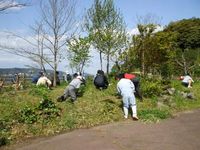 東郷湖羽合臨海公園での仕事