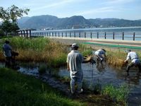 東郷湖羽合臨海公園での仕事