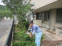 K君・Fさん 庭木の剪定作業中