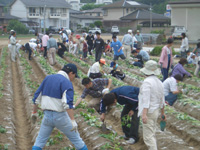 「平成いもの会」の様子