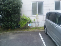 障害者社員専用駐車場(建物入口の一番近い位置に数台分設けてある)