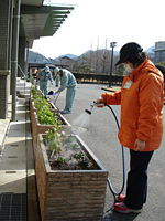 花壇に水をまく（大学の事務局棟前）