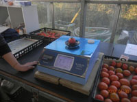 光センサーでトマトの濃度を測定する機械