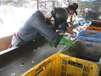 詫間経面工場(空き缶等選別)