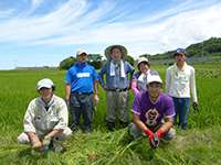 田んぼの除草作業で一息