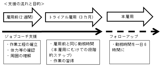 支援の流れと目的