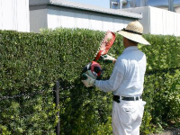 園外整備の様子